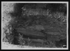 Tykocin, ruiny zamku