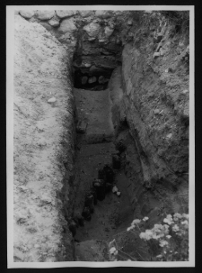 Tykocin, ruiny zamku