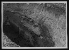 Tykocin, ruiny zamku