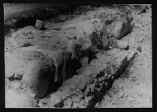 Tykocin, ruiny zamku