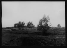 Tykocin, ruiny zamku