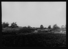 Tykocin, ruiny zamku