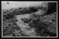 Tykocin, ruiny zamku