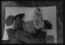 Tykocin, ruiny zamku