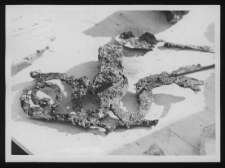 Tykocin, ruiny zamku