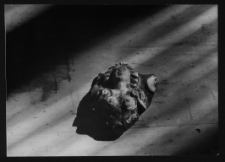 Tykocin, ruiny zamku