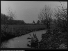 Strabla, rzeka Orlanka