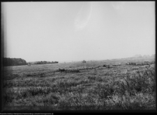 Strabla, park pałacowy