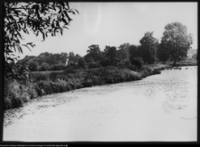Strabla, park pałacowy