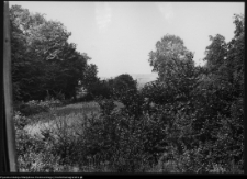 Strabla, park pałacowy
