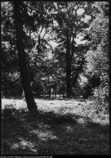 Strabla, park pałacowy