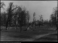 Strabla, park pałacowy