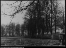 Strabla, park pałacowy