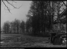 Strabla, park pałacowy