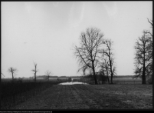 Strabla, park pałacowy