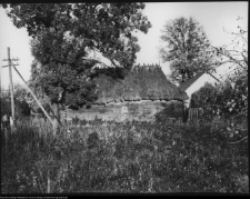 Milejczyce, ul. Januszewicza 48