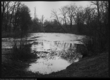 Ciechanowiec, staw pałacowy