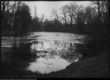 Ciechanowiec, staw pałacowy