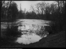 Ciechanowiec, staw pałacowy