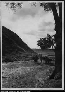 Suraż, fragment grodziska