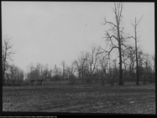 Strabla, widok na park i kościół