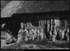 Pomiany, chata wiejska