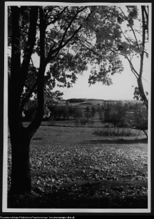 Łosośna, okolice dworu