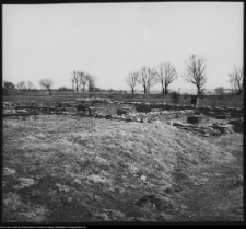 Tykocin, ruiny zamku