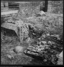 Tykocin, ruiny zamku