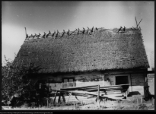 Pruska Wielka, chata wiejska