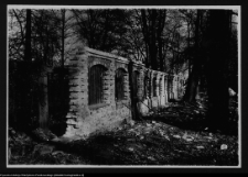 Białystok, Pałac Branickich, park