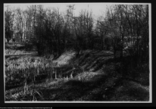 Białystok, Pałac Branickich, park