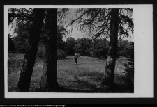 Rudka, park przypałacowy