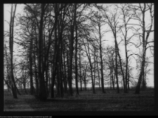 Rudka, park przypałacowy