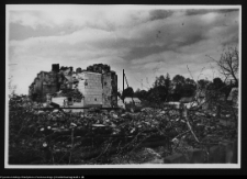 Ruiny obiektu zabytkowego