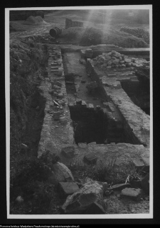 Wigry, wykopy w miejscu dawnego domku furtiana