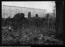 Białystok, cmentarz Ewangelicko-Augsburski