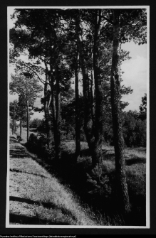 Podlasie, historyczny krajobraz ruralistyczny