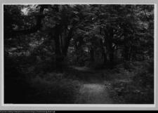 Białystok, park przypałacowy