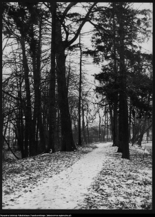 Białystok, park przypałacowy