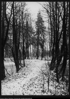 Białystok, park przypałacowy