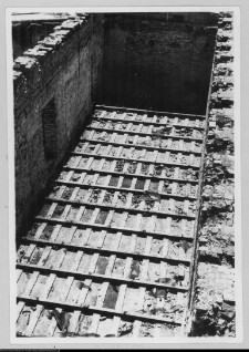 Białystok, odbudowa Pałacu Branickich