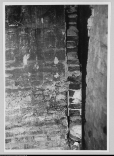 Białystok, odbudowa Pałacu Branickich